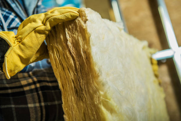 Best Insulation Replacement Services  in Hobart, WI